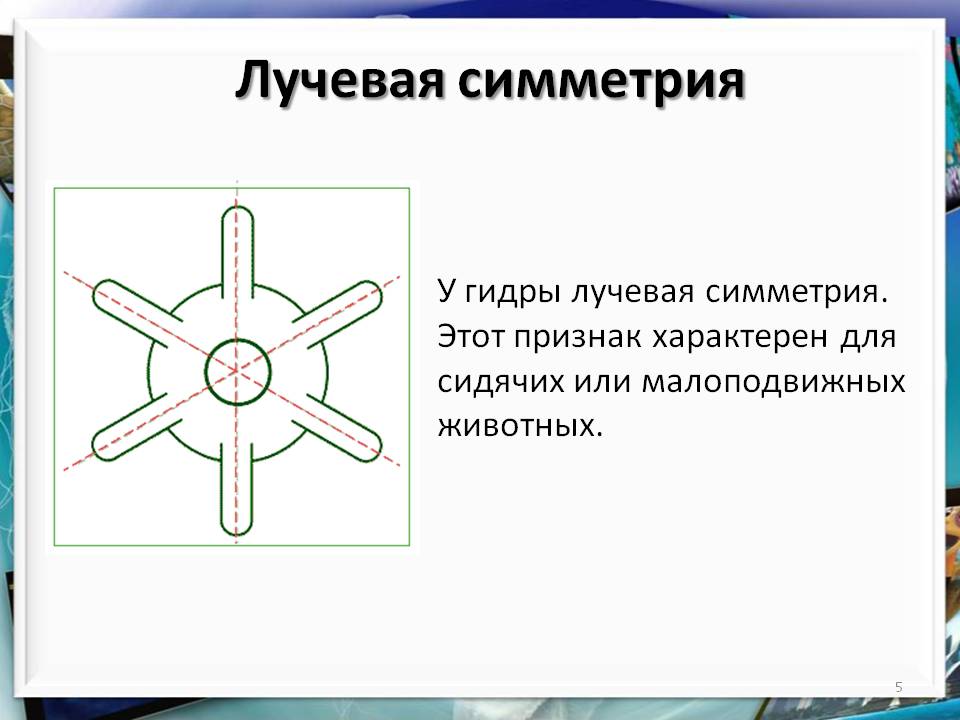 Как зайти в кракен торе