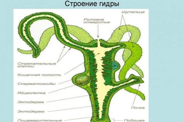 Kraken ссылка krakentor site