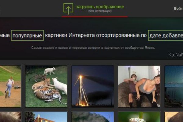 Что продают на сайте кракен